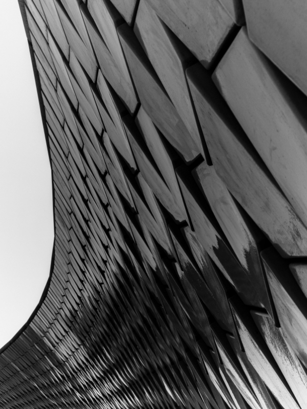 initiation intelligence artificielle et chatGPT - A&M consulting Bordeaux